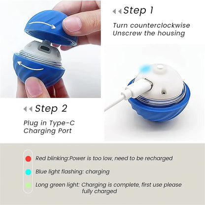 Pet Dog Rubber Ball Toys